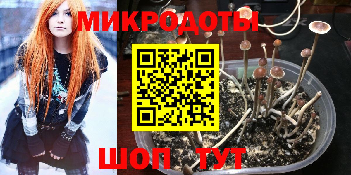 закладка  Псилоцибиновые грибы GOLDEN TEACHER  Вход с VPN  Вольск  Псилоцибиновые грибы MAGIC MUSHROOMS 